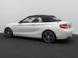 Foto Nummer 10: BMW 220d